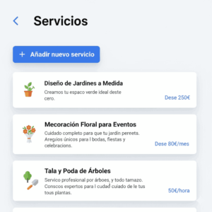 Servicios seo local google
