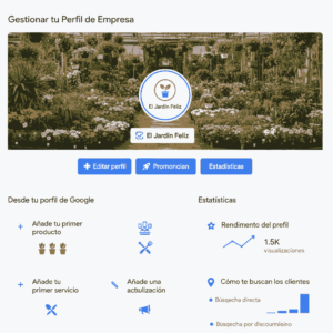 Perfil de google business profile