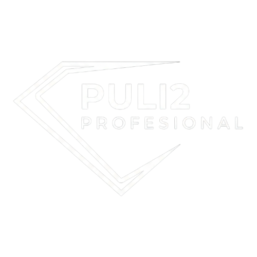 Empresa puli2 posicionada