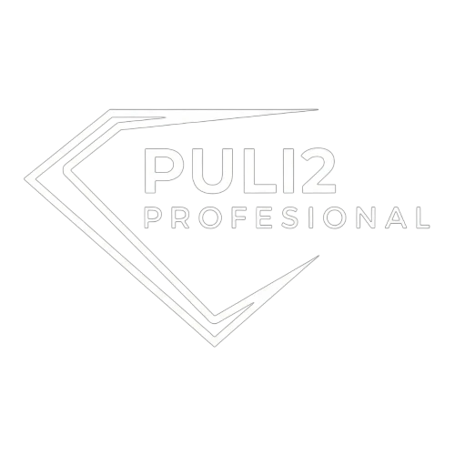 Puli2 Transparente (1)